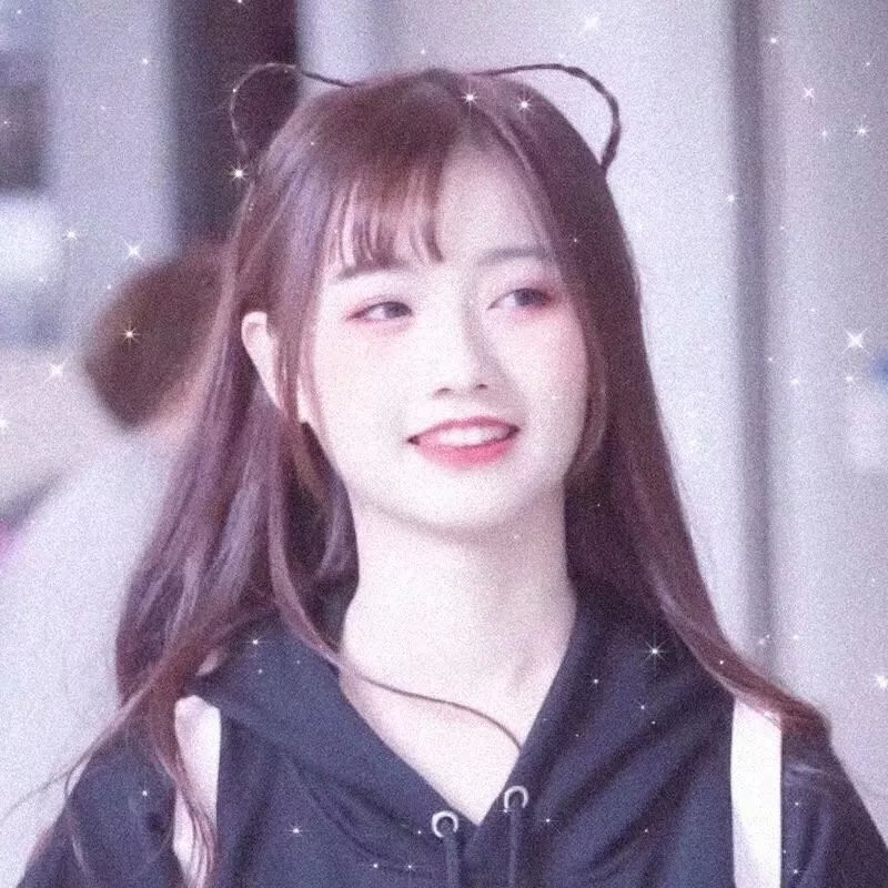狗狗与我的十个约定