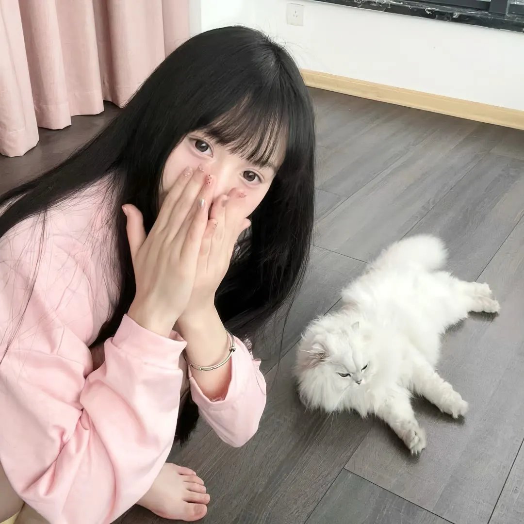 老鼠爱上猫